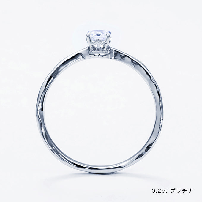 BIRTH FLOWER 6月