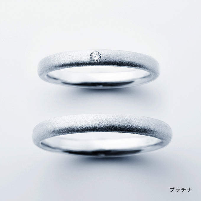 結婚指輪 誕生月木2月 プラチナ 商品画像