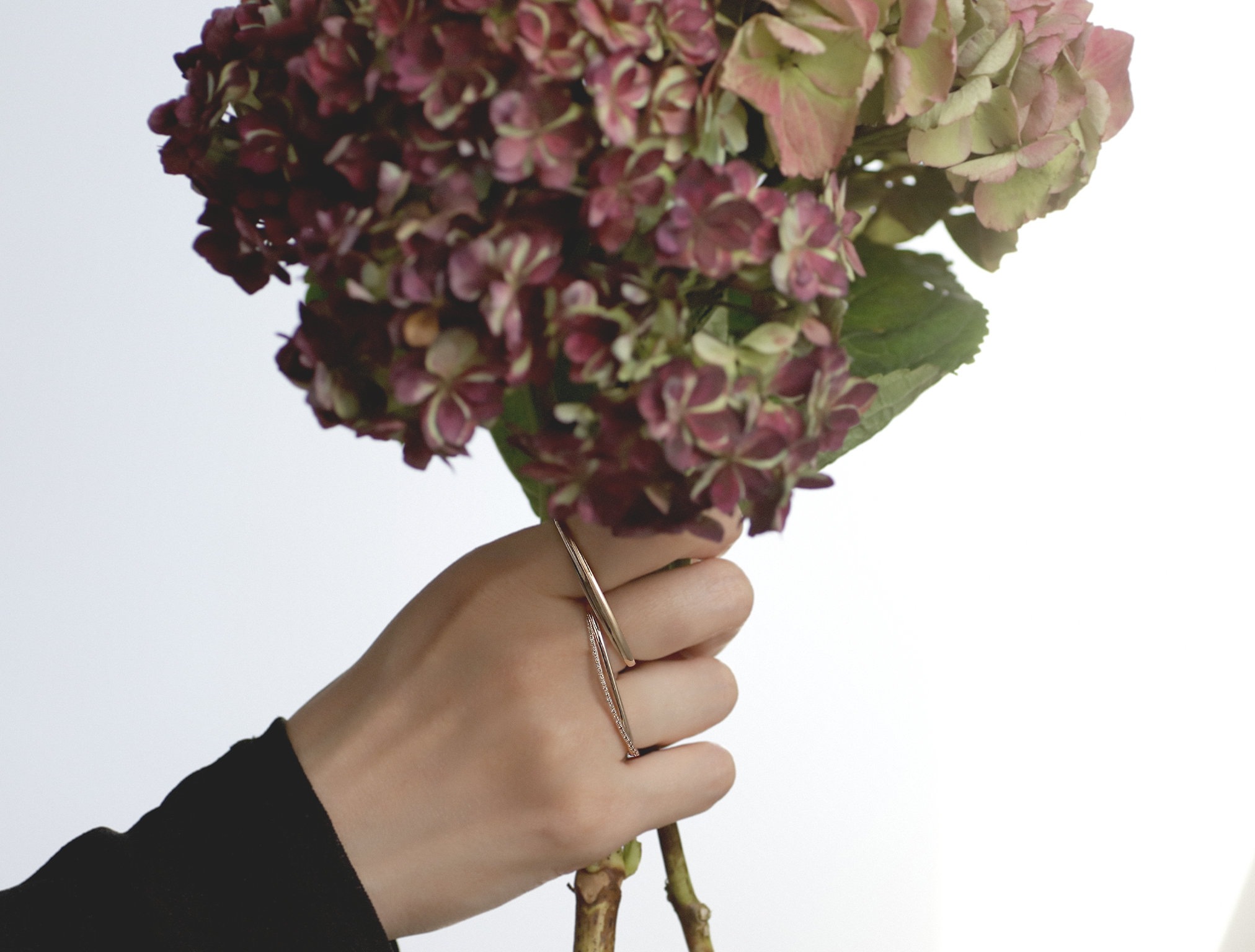 SIENA ROSE × SHAMROCK 初夏の本通りを彩る、紫陽花とジュエリーの3日間。特別なポップアップイベントを開催。