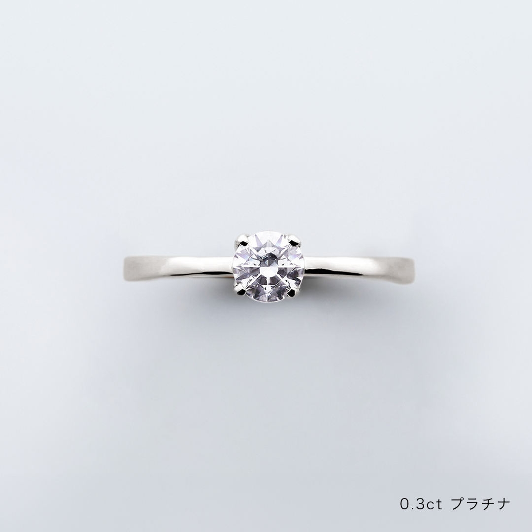 BIRTH FLOWER　12月